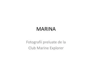 marina
