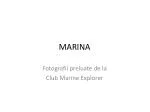 MARINA - slide 1
