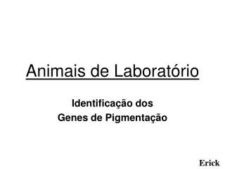 animais de laborat rio