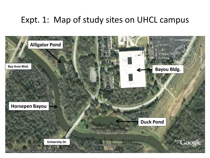 expt 1 map of study sites on uhcl campus