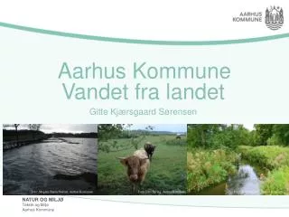 aarhus kommune