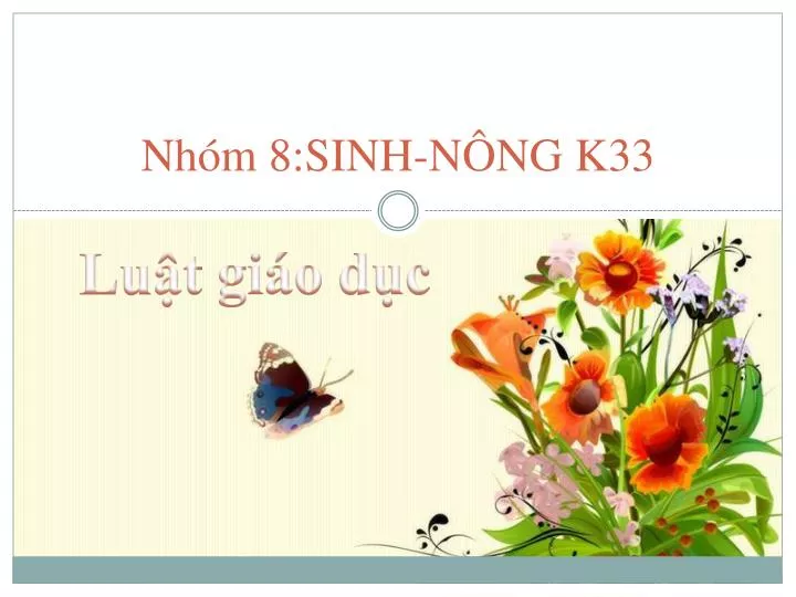 nh m 8 sinh n ng k33