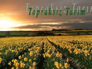 topraks z tar m