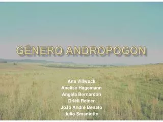 g nero andropogon