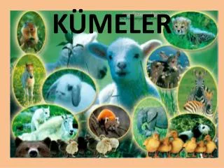 k meler