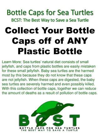 Bottle Caps for Sea Turtles BCST: The Best Way to Save a Sea Turtle