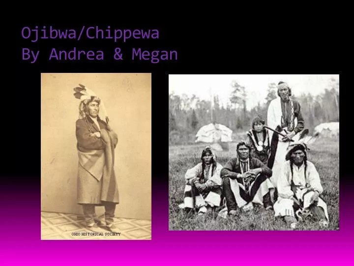 ojibwa chippewa by andrea megan