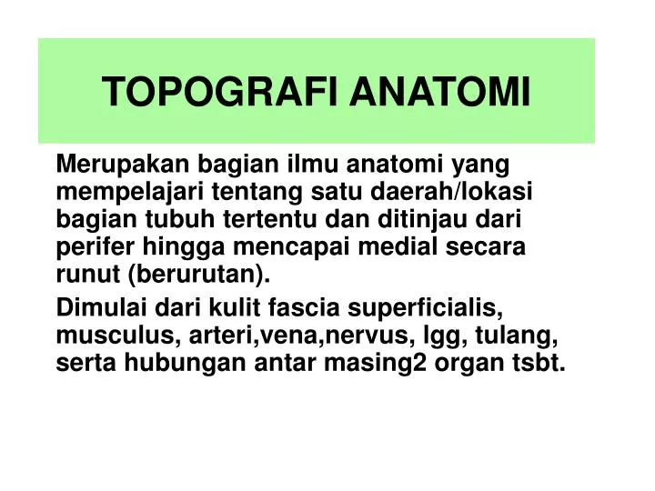 topografi anatomi