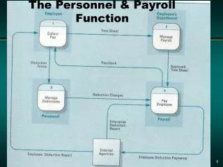 The Personnel &amp; Payroll Function