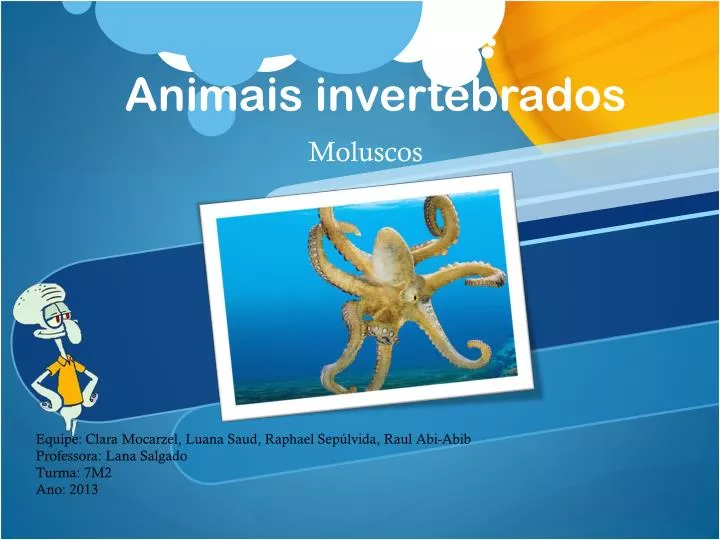 animais invertebrados