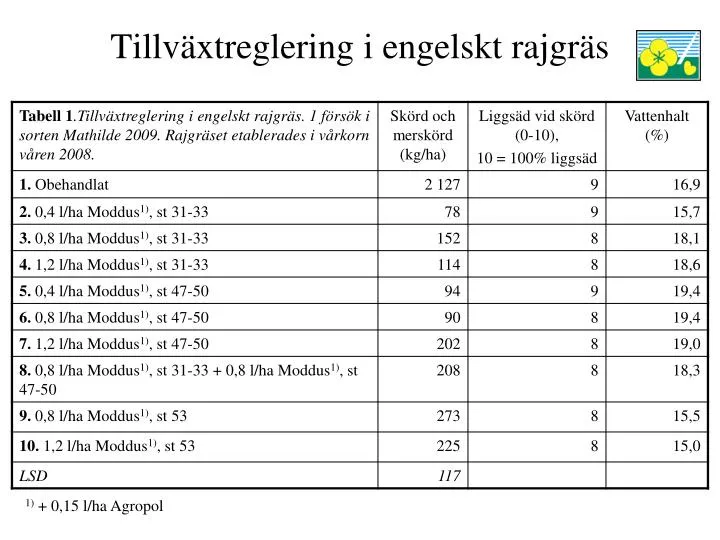 tillv xtreglering i engelskt rajgr s