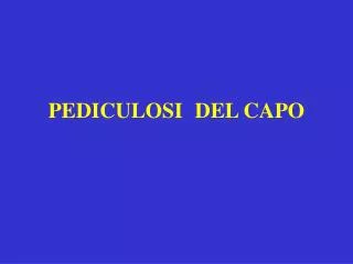 pediculosi del capo