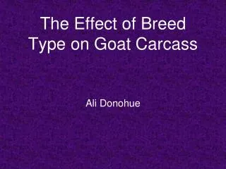 The Effect of Breed Type on Goat Carcass