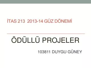 tas 213 2013 14 g z d nem