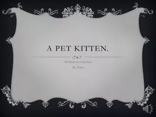 A pet kitten.