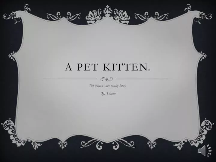 a pet kitten