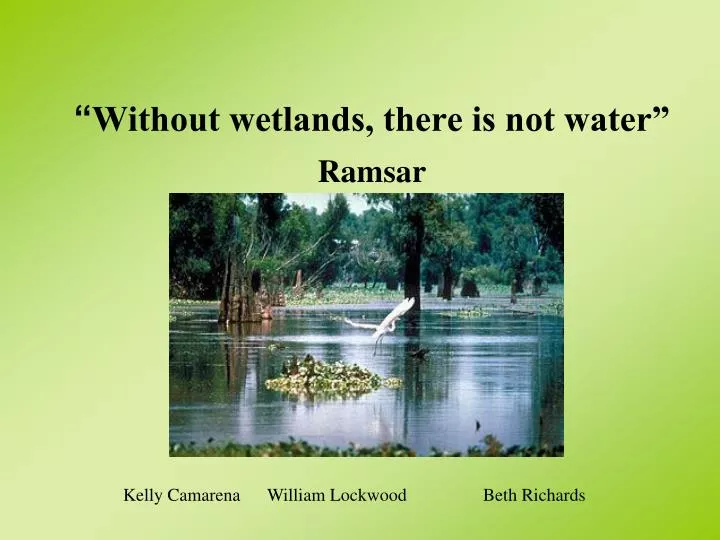 without wetlands there is not water ramsar