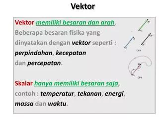 vektor