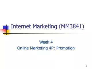 Internet Marketing (MM3841)