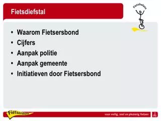 fietsdiefstal
