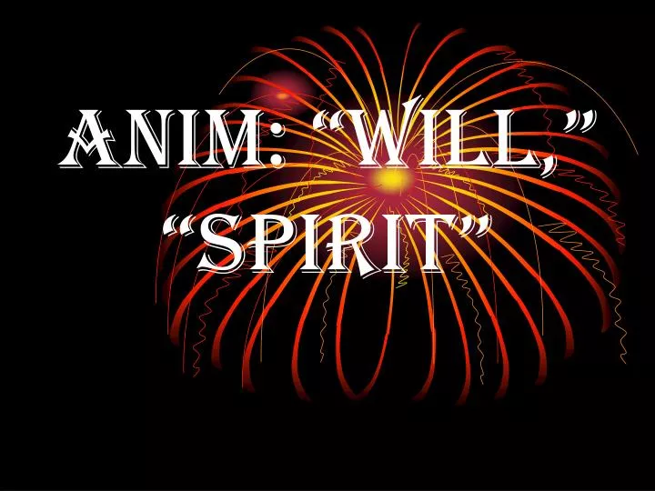 anim will spirit