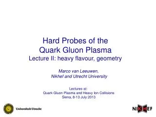 Hard Probes of the Quark Gluon Plasma Lecture II: heavy flavour, geometry