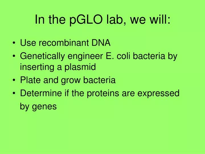 in the pglo lab we will