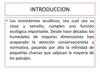 introduccion