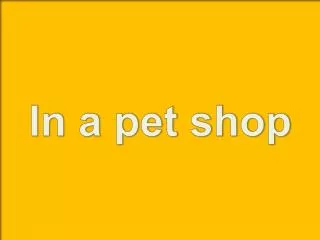 In a pet shop