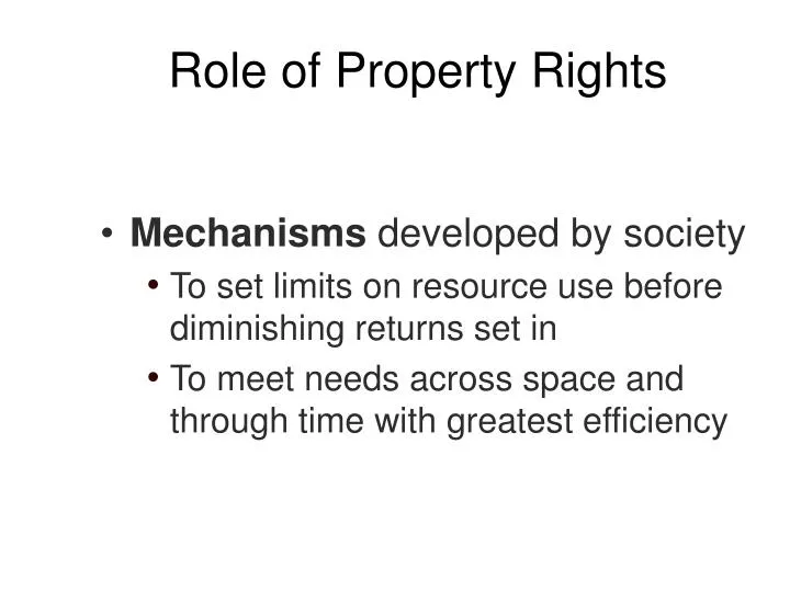role of property rights