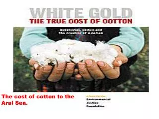 The cost of cotton to the Aral Sea.