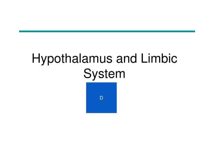 hypothalamus and limbic system