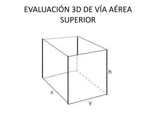 evaluaci n 3d de v a a rea superior