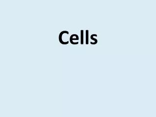 cells