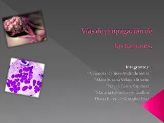 v as de propagaci n de los tumores