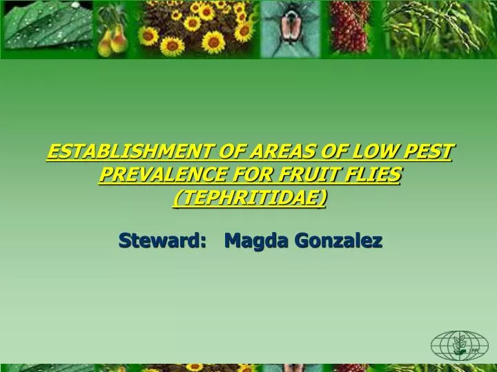 establishment of areas of low pest prevalence for fruit flies tephritidae