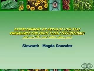 Steward: Magda Gonzalez