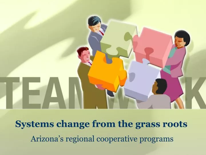 systems change from the grass roots