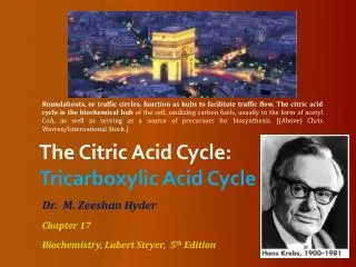 The Citric Acid Cycle: Tricarboxylic Acid Cycle