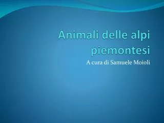 animali delle alpi piemontesi