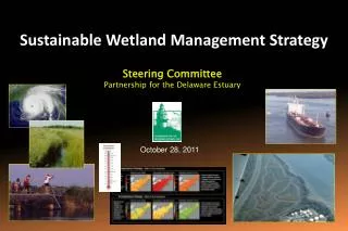 Sustainable Wetland Management Strategy