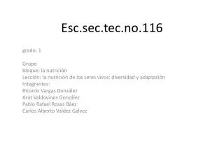 esc sec tec no 116