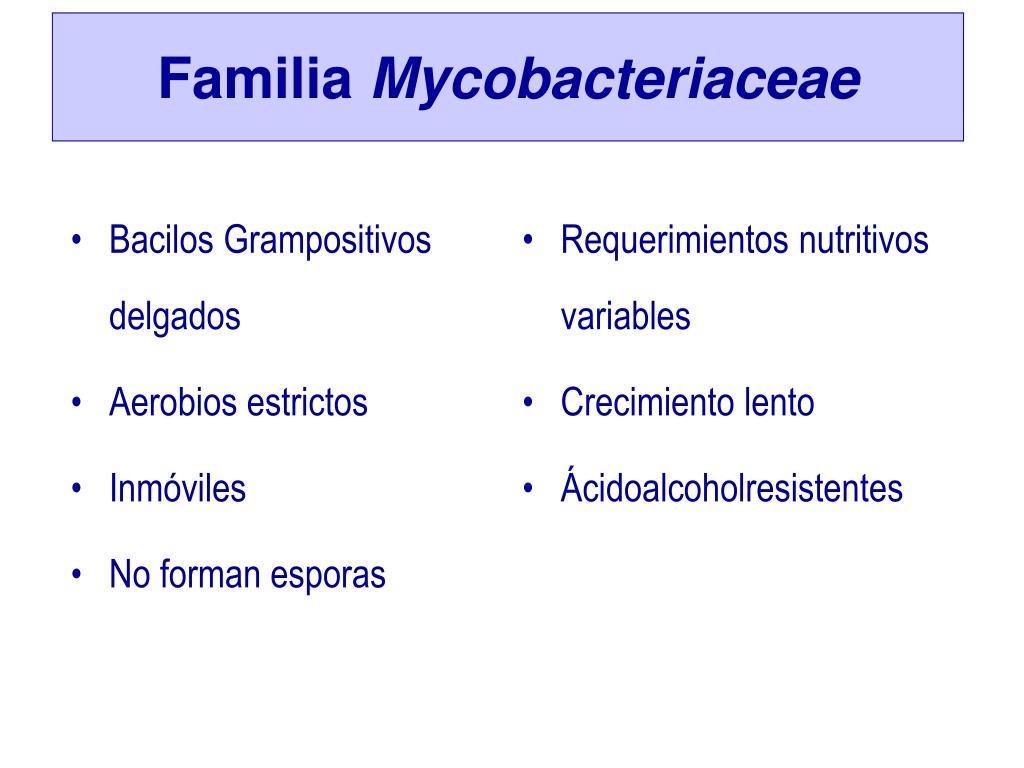 ppt-familia-mycobacteriaceae-powerpoint-presentation-free-download