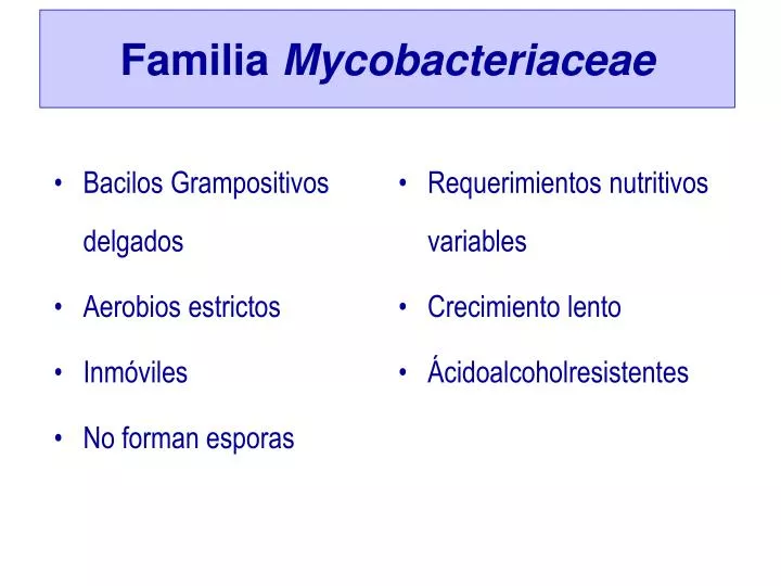 familia mycobacteriaceae