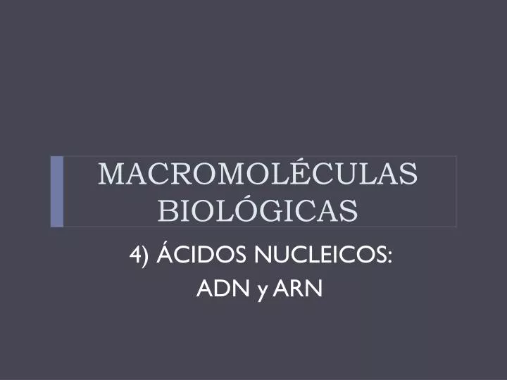 macromol culas biol gicas