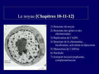 le noyau chapitres 10 11 12