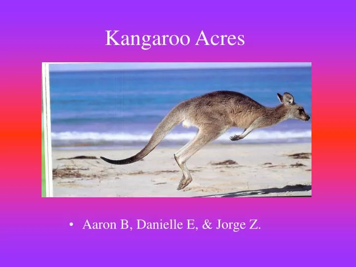 kangaroo acres