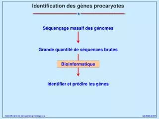 identification des g nes procaryotes
