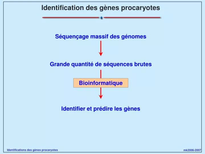 identification des g nes procaryotes