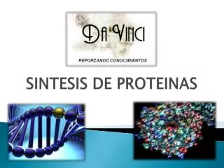 sintesis de proteinas